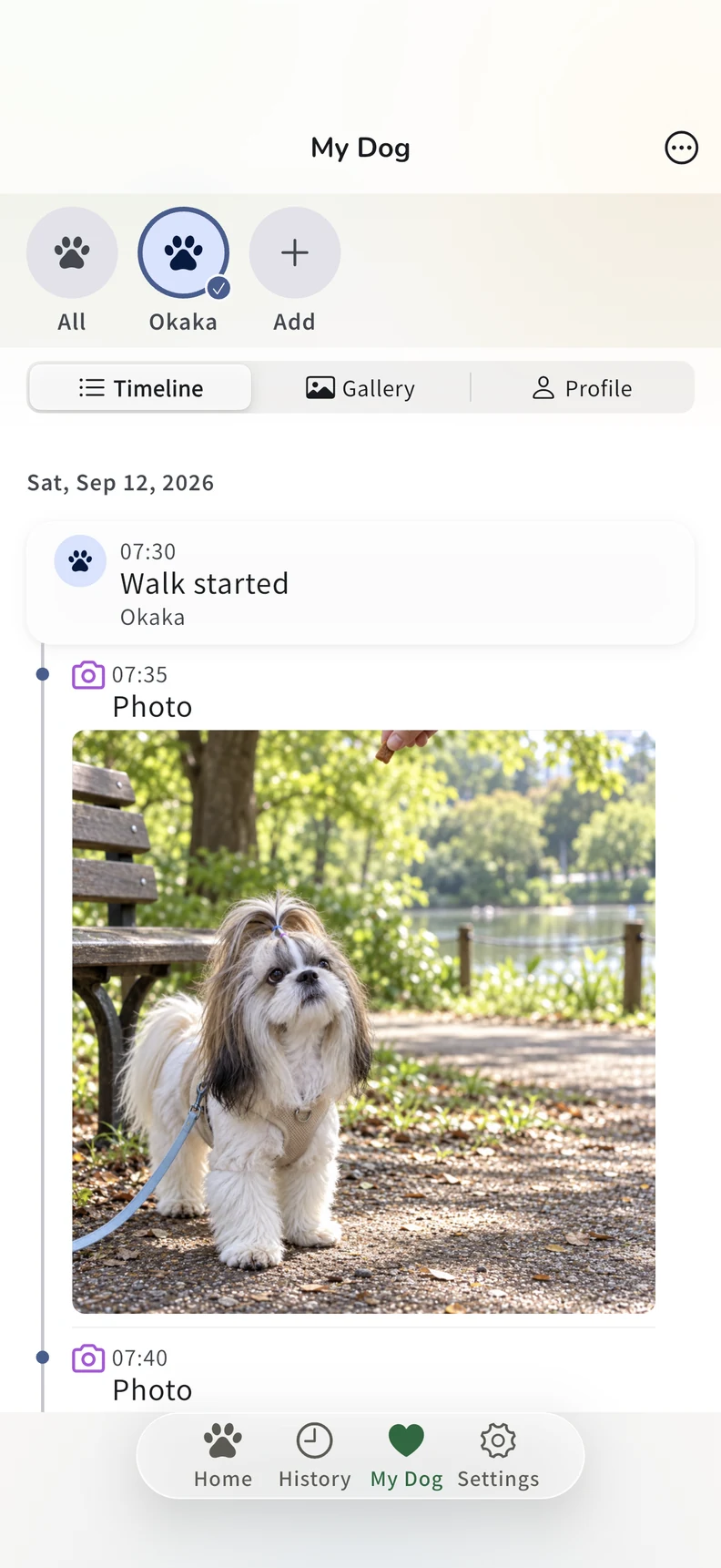 Walks and photos in your dog’s timeline