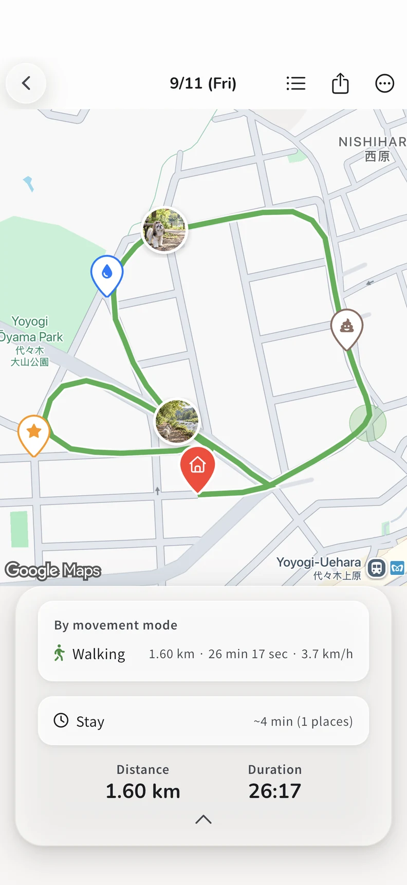 Your route, markers and walk details