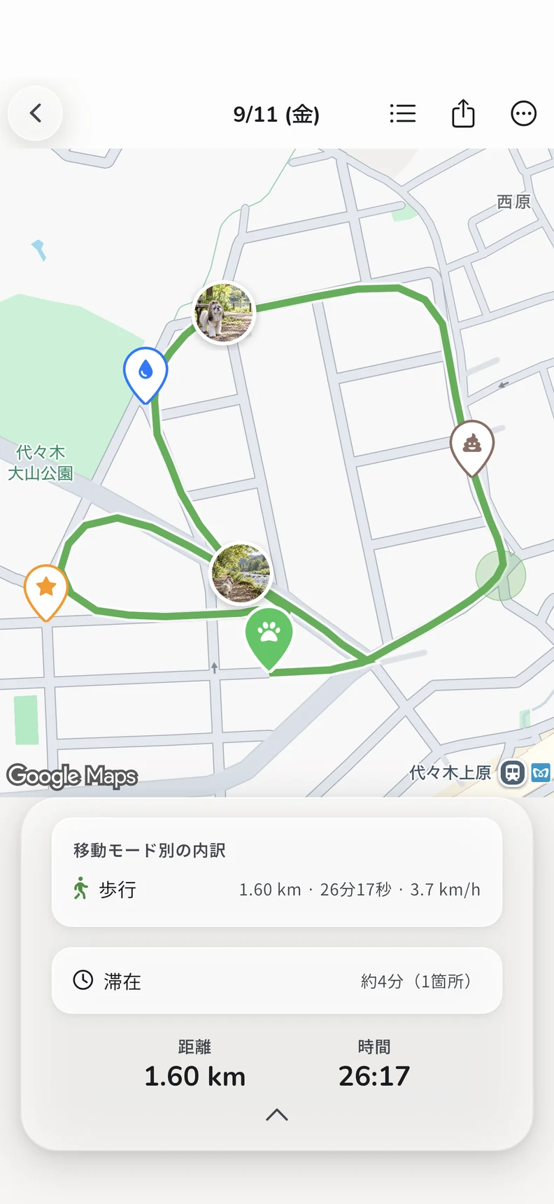 ルートとマーカー、散歩の記録